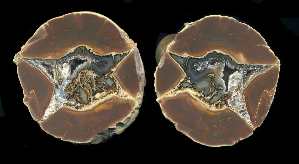 Fread's Bed Thunderegg